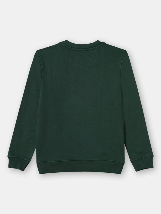 Zion Boys Sweatshirt with Cute Dog in Terry Embroidery-Green