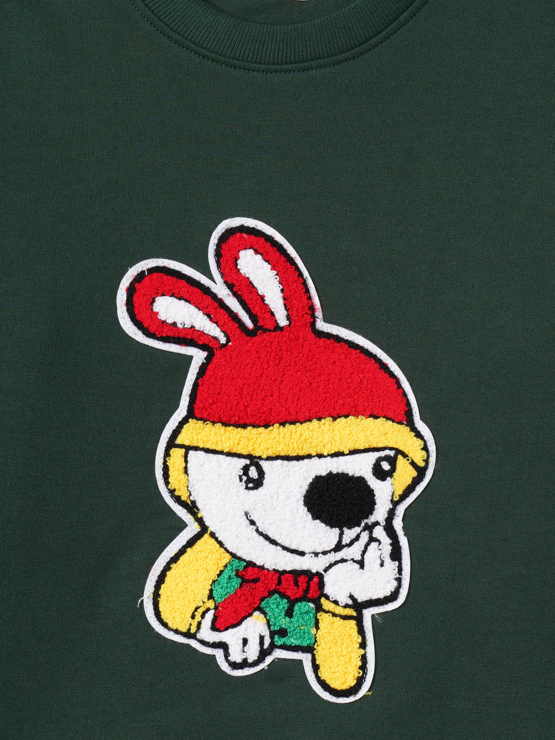 Zion Boys Sweatshirt with Cute Dog in Terry Embroidery-Green
