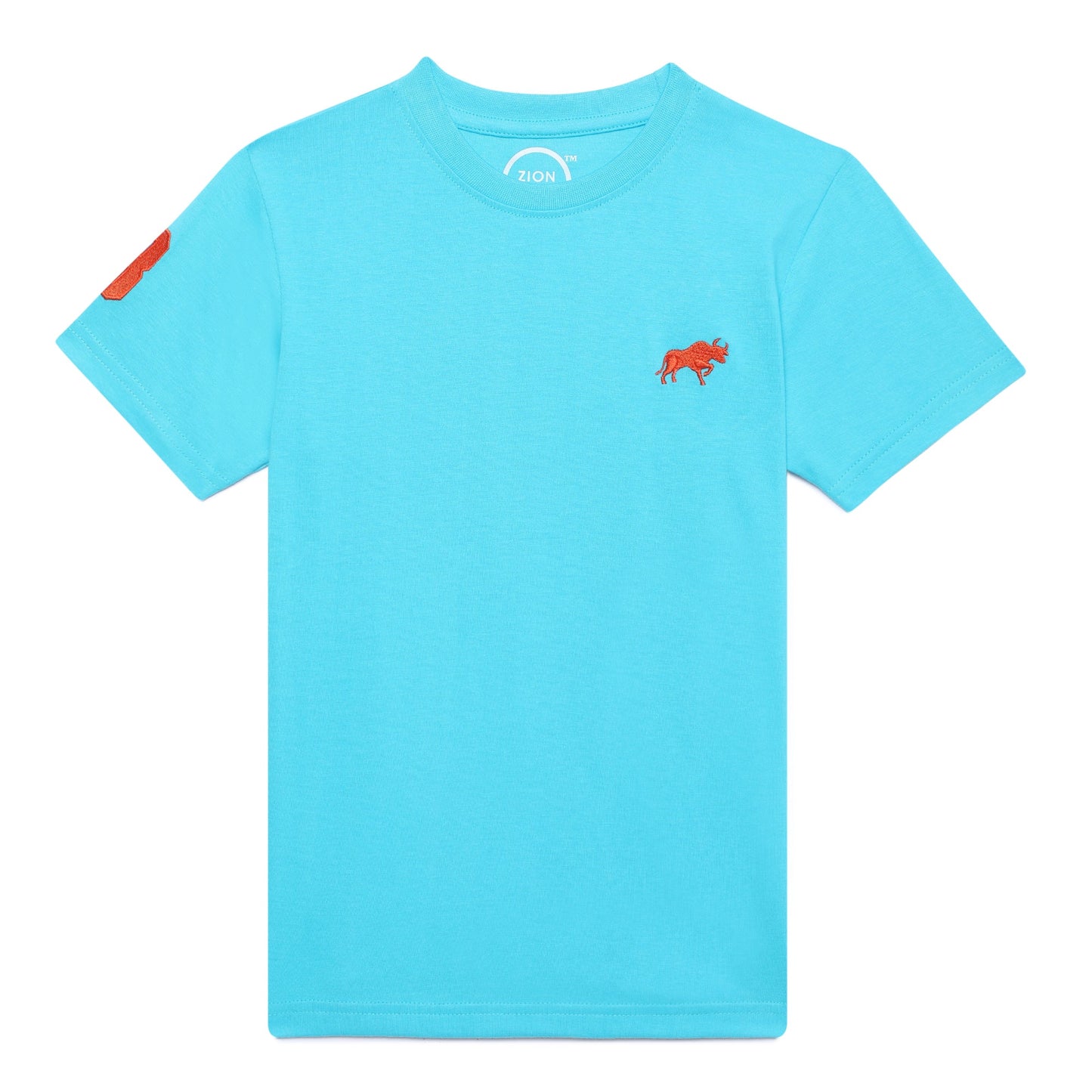 Zion Boys Crew Neck T shirt with Bull and Numeric embroidery-Turquoise