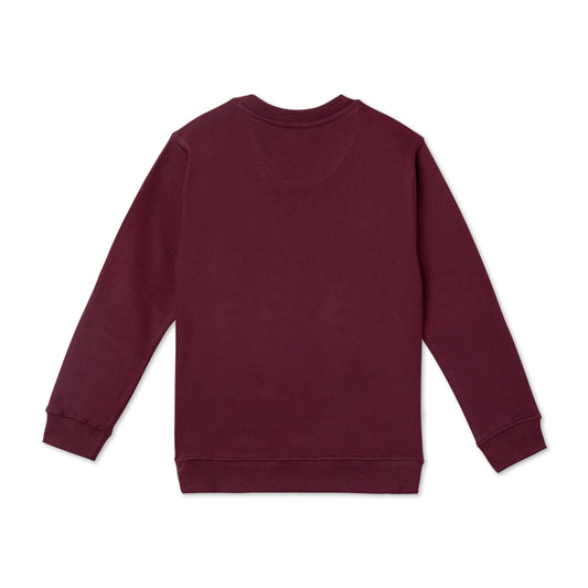 Zion Boys Sweatshirt with Embroidered Applique Highlights-Maroon