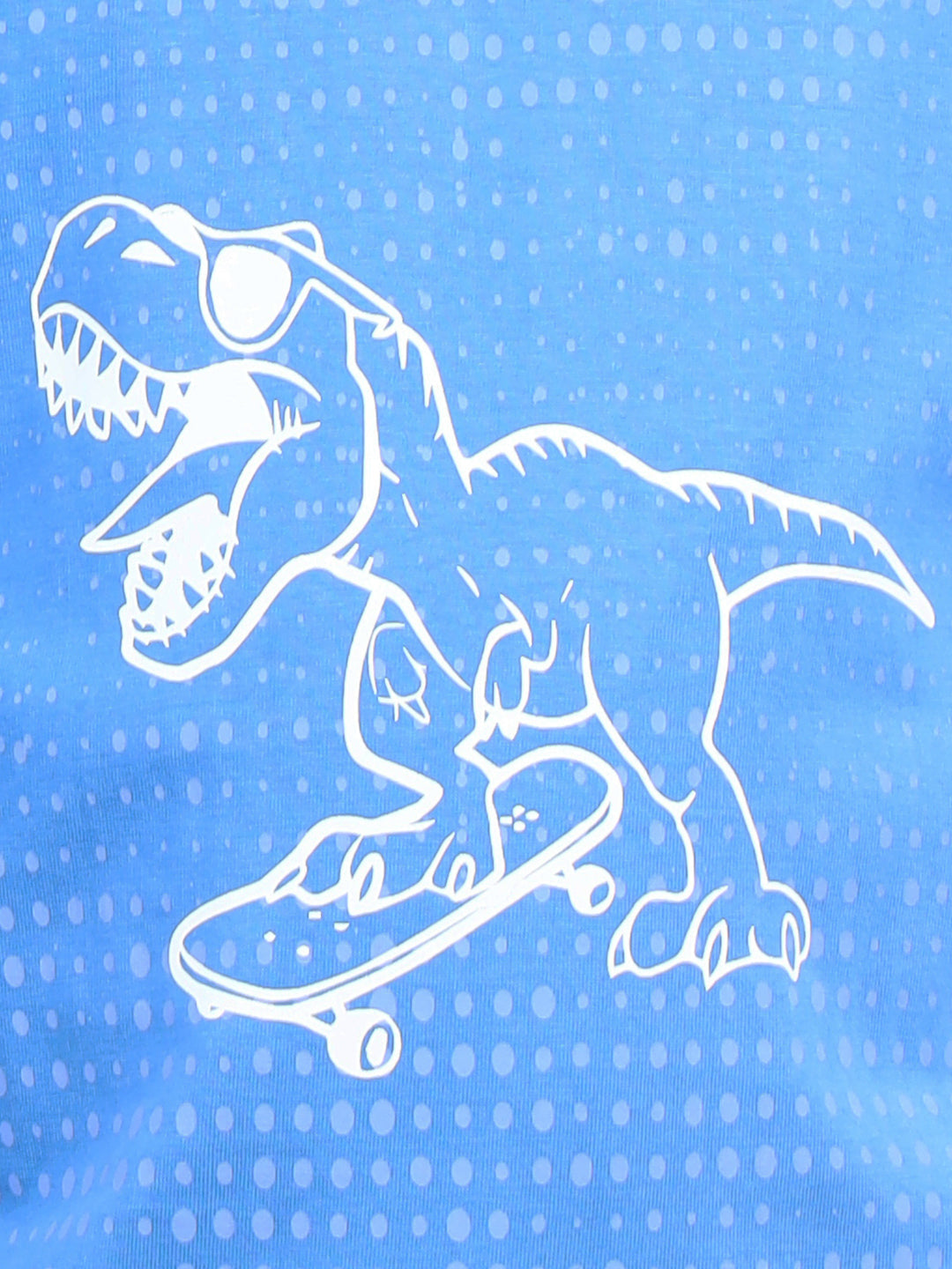 Zion Boys Crew Neck Tshirt in Dino Print-Blue