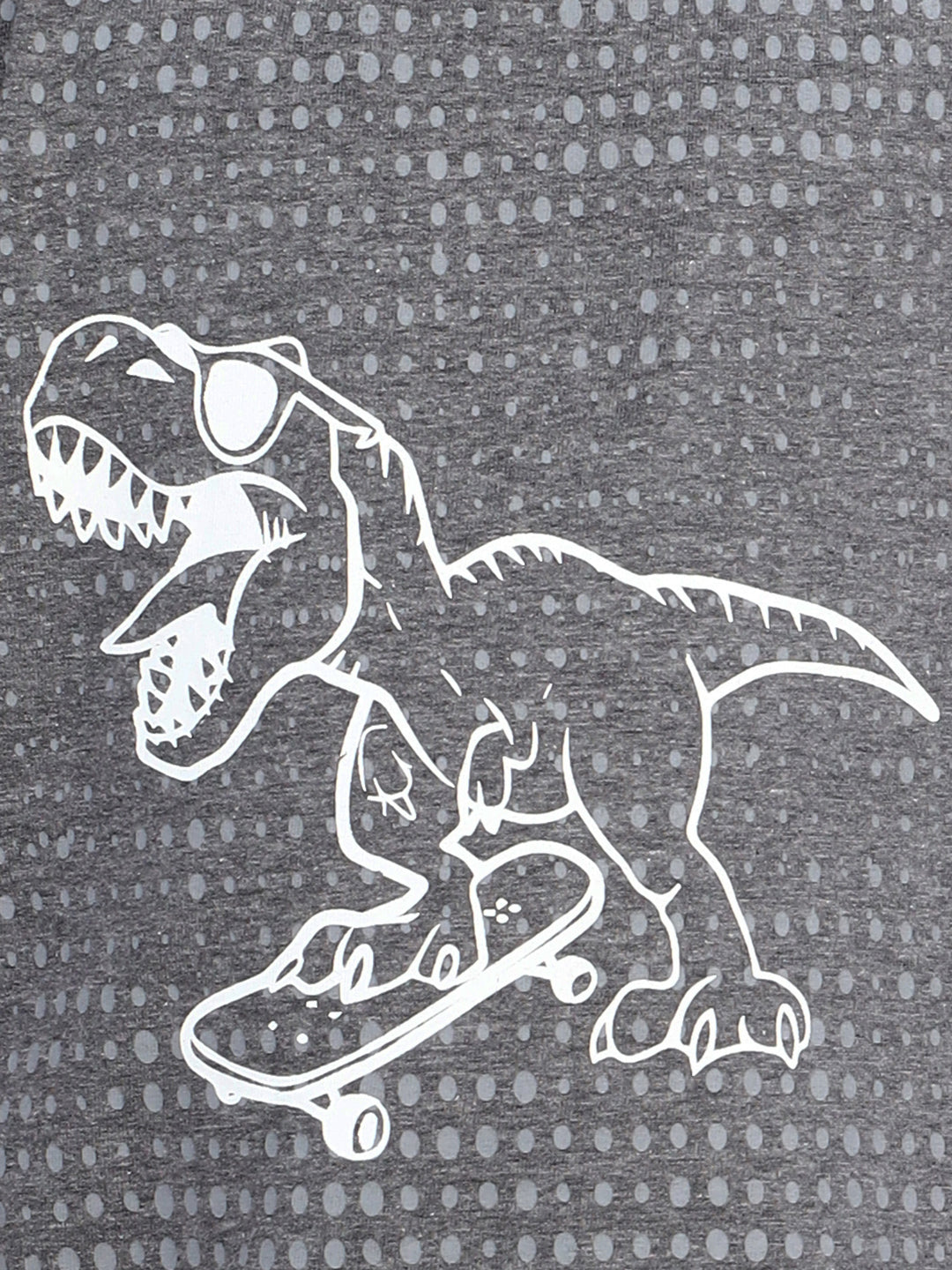 Zion Boys Crew Neck Tshirt in Dino Print-Grey