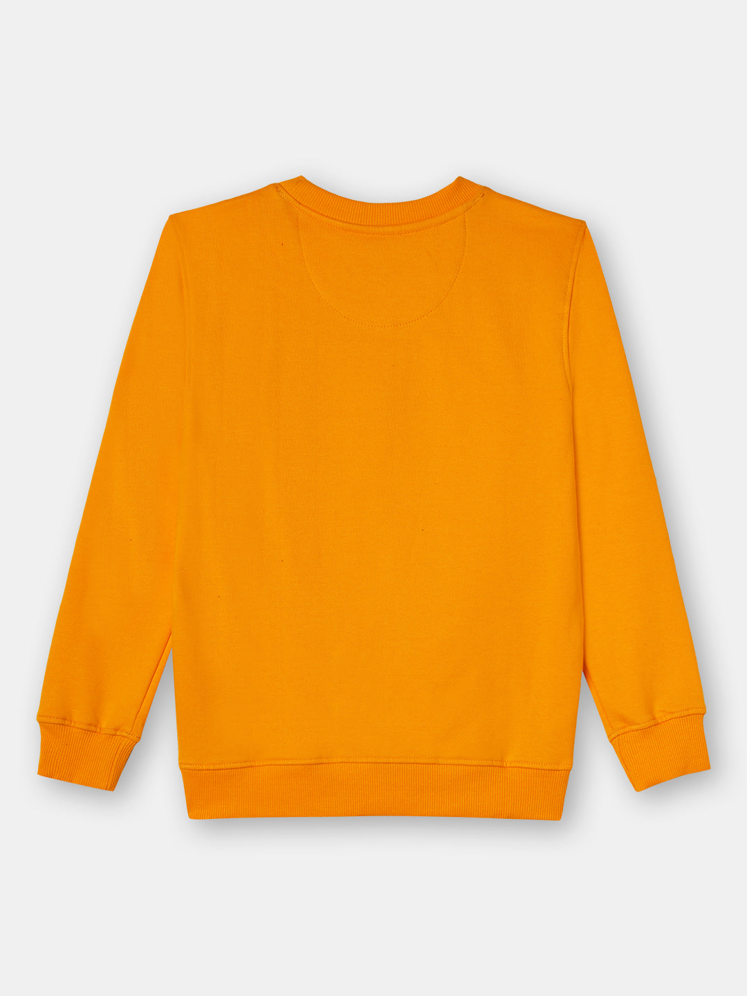 Zion Boys Sweatshirt with Cute Dog in Terry Embroidery