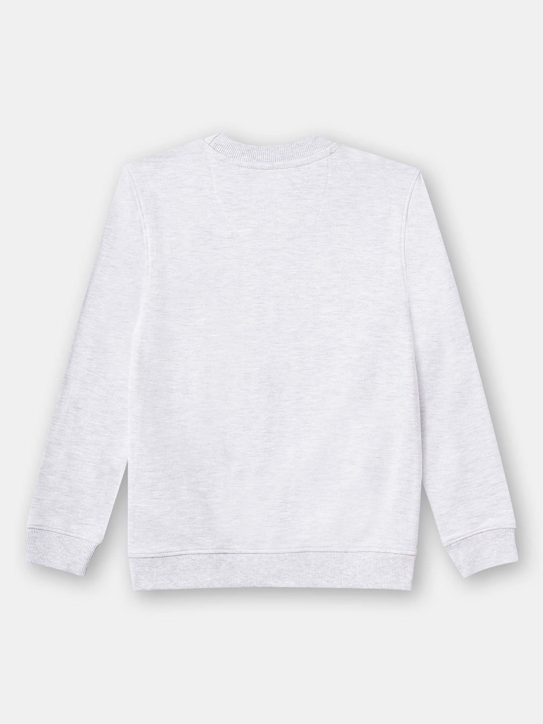 Zion Boys Sweatshirt with Cute Penguin in Terry Embroidery