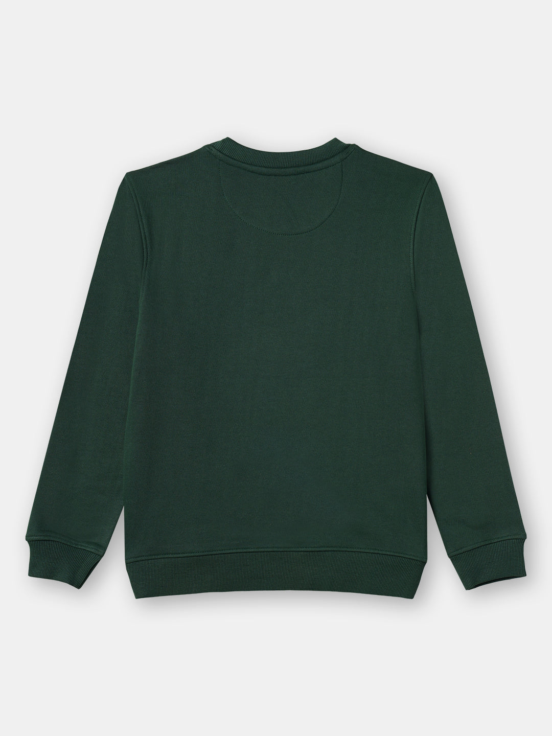 Zion Boys Sweatshirt with Cute  Dog in Terry Embroidery-Green