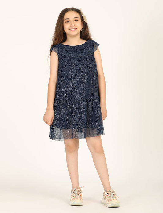 Zion Shimmered Mesh  Sleeveless A Line Dress  - Navy