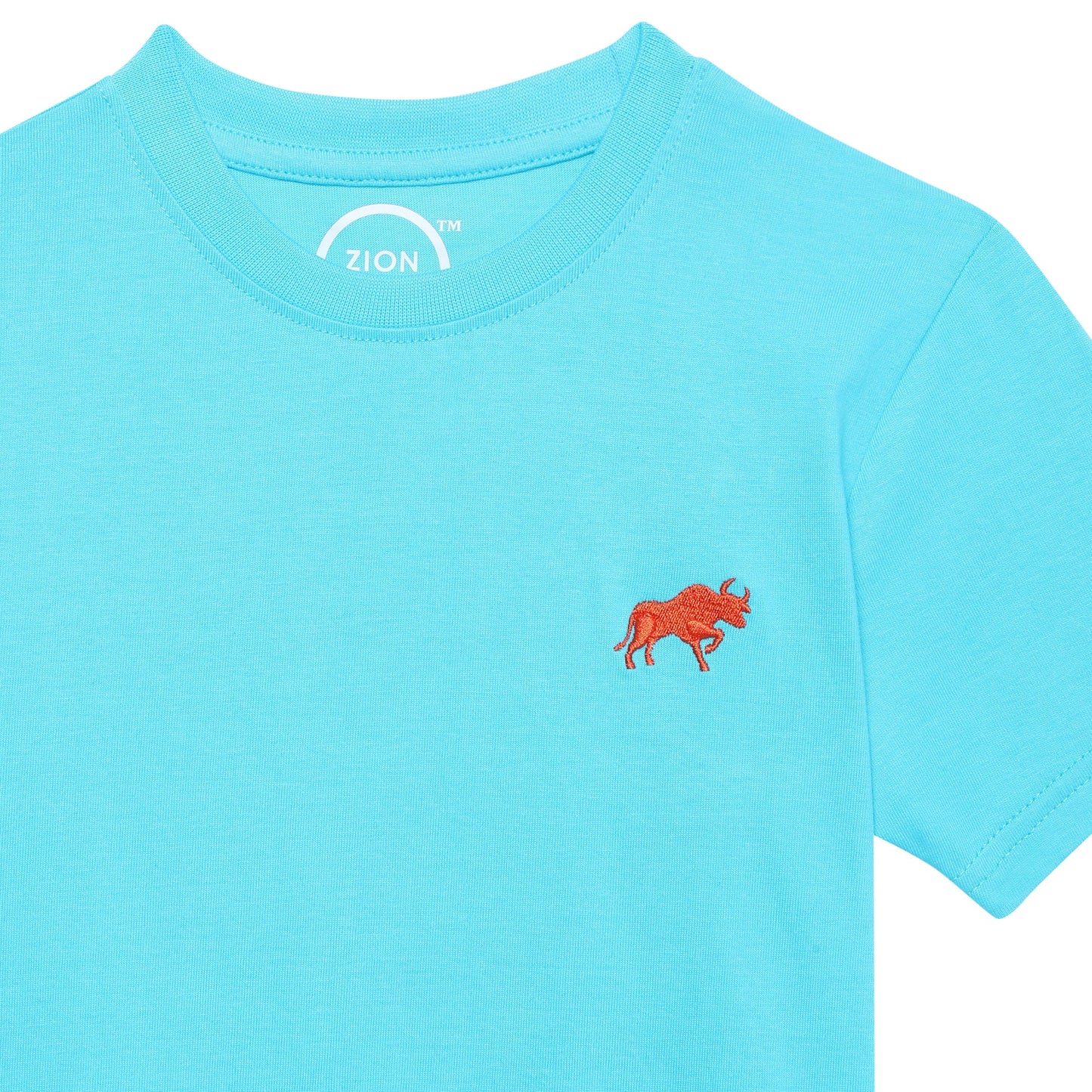 Zion Boys Crew Neck T shirt with Bull and Numeric embroidery-Turquoise